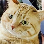 Candy Meadows - @candymeadows28 - Instagram