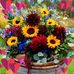 Candy Johnson Mears - Facebook