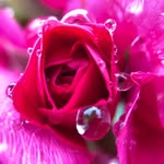 Candy Mears - @candymears - Instagram