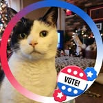 Candy Meeker - @candymeeker - Instagram