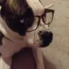 meekslovescandy - @meekslovescandy - TikTok