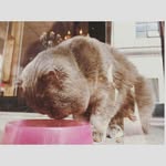 明哥 - @candymei_ - Instagram