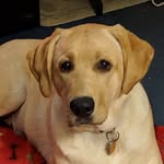 Candy Menard - @candyjean68 - Instagram