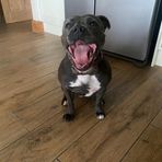 Candy Mercer - Facebook