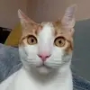 Candy Merino - @candy.merino86 - TikTok