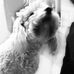 Candy Falkor Meza Berumen - Facebook