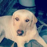 Candy Meza - @candy_guauuu - Instagram