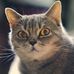Candace Miner - Facebook