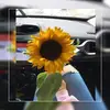candy miranda🌻🌻 - @candy_miranda - TikTok