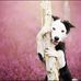 Candy Monarrez - Facebook