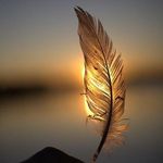 Candy Monk - @candyjmonk - Instagram