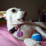 Candy Monroe - @yummiescandyandnuts - Instagram
