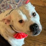 Candy Monroe - @candy.monroe.10 - Instagram