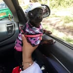 candy montes - @candymontes4569 - Instagram
