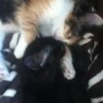 Candy & Moosey - @candyandmoosey - Instagram