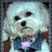 Candy Mora - Facebook