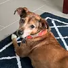 Candy Morales - @candymorales1619 - TikTok