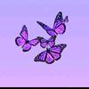 candy moreno - @candy.moreno8 - TikTok