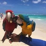 Candy Morris Donaldson - @donaldson.candy - Instagram