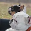 Candy Morse Kleinschmidt - @candy.morse.klein - TikTok