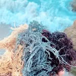 Candy Moss - @caribbeancandymoss - Instagram