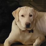 Candy Brewer Mott - @candymott0777 - Instagram
