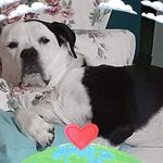 Candy Moyer - @candymoyer69 - Instagram