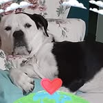 Candy Moyer - @candymoyer69 - Instagram