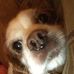 Candy Moyer - Facebook