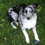 Candy Mueller - @onehoodedangel - Instagram