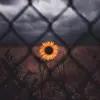 user7835774899334 - @candymuniz3 - TikTok