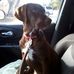 Candace Murdock - Facebook