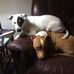 Candy Murphy - Facebook