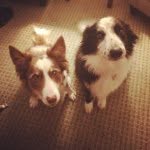 Candy And Belle Nagy - @cancanbelleywelly - Instagram