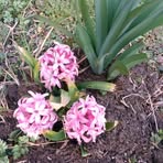 Candy Napier - Facebook