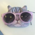 Candy Navarrete - @curiously_candy - Instagram