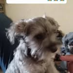 Candy Navarrete Gorda - @candi.navarrete.12 - Instagram