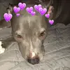 🦋Candy🦋 - @candy_mcneal - TikTok