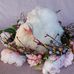 Candy Neumann - Facebook