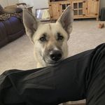 Candy Nichols - @candyj1959 - Instagram