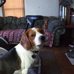 Candy Nichols - @candynichols15 - Instagram