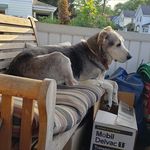 Candy Nichols-Gillingham - @samglcas - Instagram