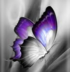 Candy Nielsen - Facebook