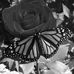 Candi Nieves - Facebook