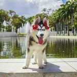 candy nieves - @candynieves6442 - Instagram