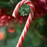 Kẹo cây Noel - @candynoel.2412 - Instagram