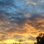 Dulce - @candynorton8 - Instagram