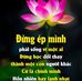 Candy Love Null - Facebook