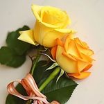 Candy Nuñez - @candieydi - Instagram