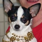 Candy Nutt - Facebook